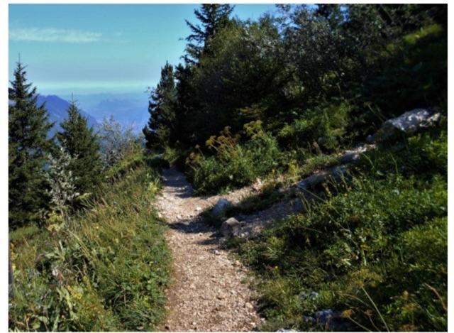 Grenoble Sud Varces Suite Privatisee Au Pied Des Montagnes エクステリア 写真
